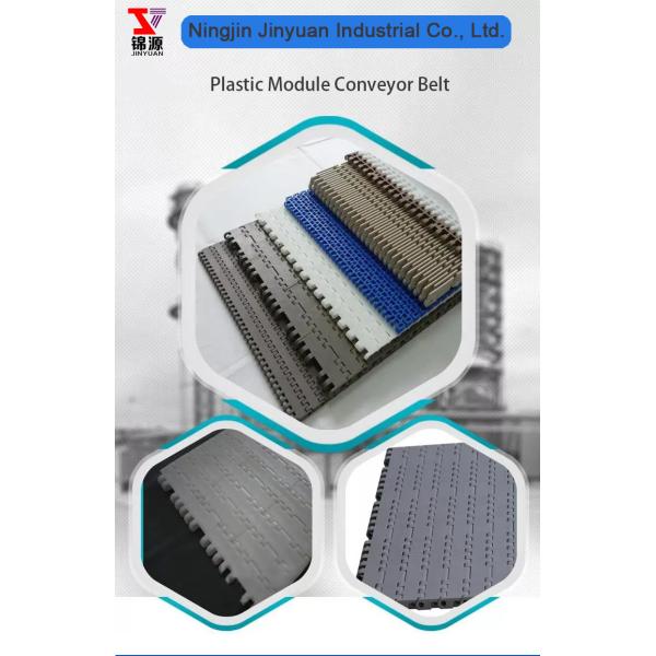 Plastic Modular Belt for Conveyor System Exclusive for India