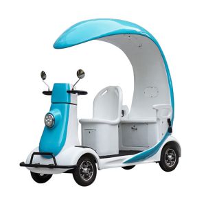 Quality Blue Scenic 3 Seater Mobility Scooter Park Sightseeing Car44 for sale