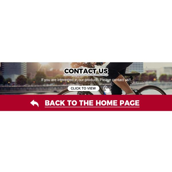 Full Shockingproof Frame Folding Bike 20" 9 Speed Crius Velocity-D Brake for Adults