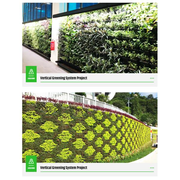 Hydroponic Vertical Self Watering Artificial Green Wall System for Greening Projects