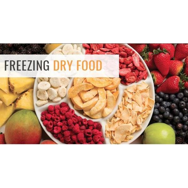 0.6sqm 6-8kg Cheap Food Processing Small Coconut Pineapple Chips Dehydrator mini freezing dryer machine