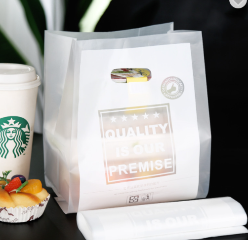 EVA PE ECO Friendly Reusable Plastic Bag Custom Hopping Bags With Logo