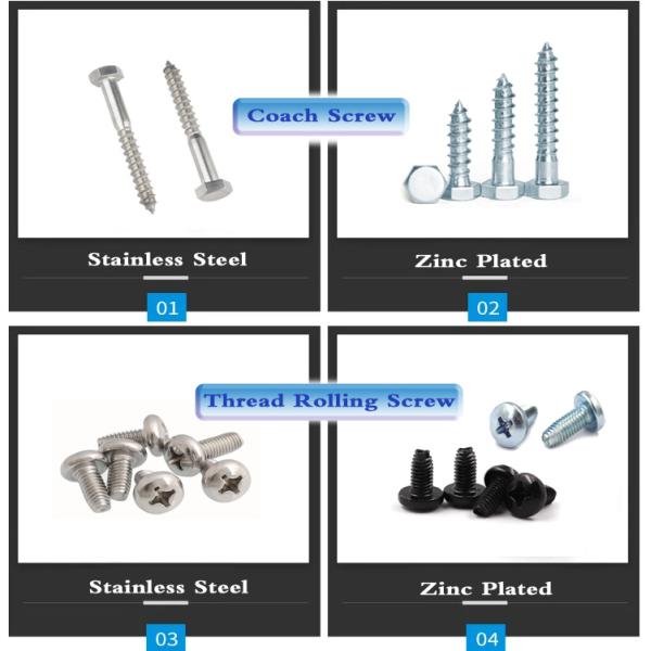 Stainless Steel Self-Tapping Decking Screw with Torx Square Drive and Robertson Head