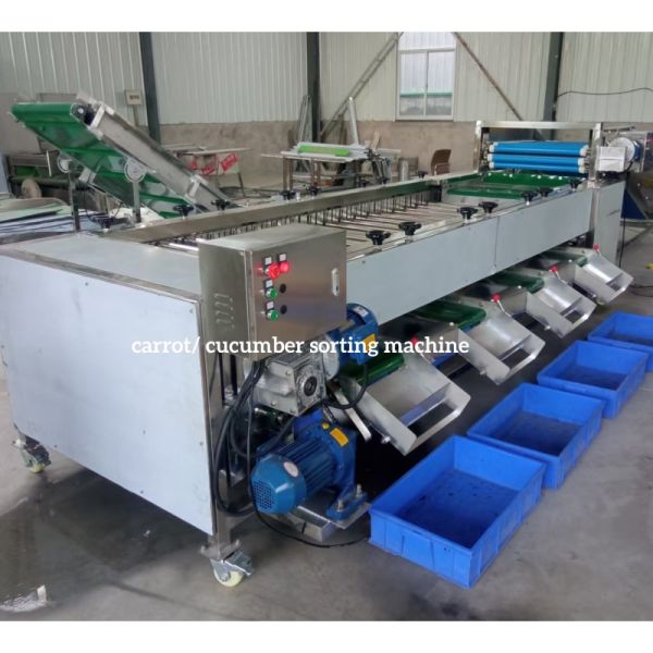Carrot Sorting Machine, Carrot Grading Machine, Carrot Calibration