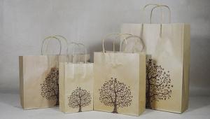 Quality Brown Kraft Paper Gift Bags Wholesale Full Size Custom Retail Merchandise Carrier Gift Shopping Bag for sale