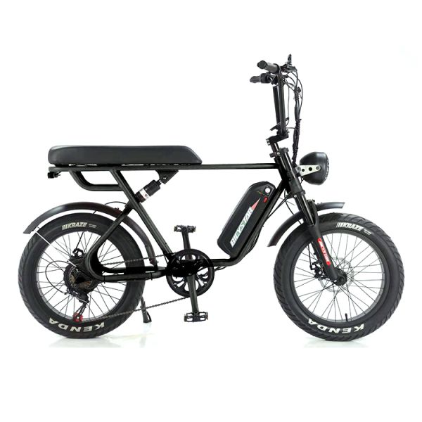 Custom 48V 1000W Electric Bike 20 Inch Fat Tire Ebike With And 52V Lithium Battery Charger
