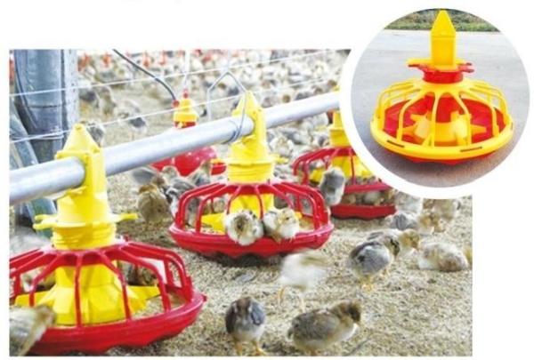 Buy Automatic Feeding System For Broilers And Layers at wholesale prices