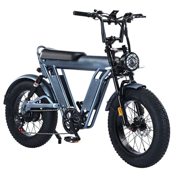 20" Wheel Size Folding Fat Tire Electric Bike Frame For Exercise Balance And Exercise