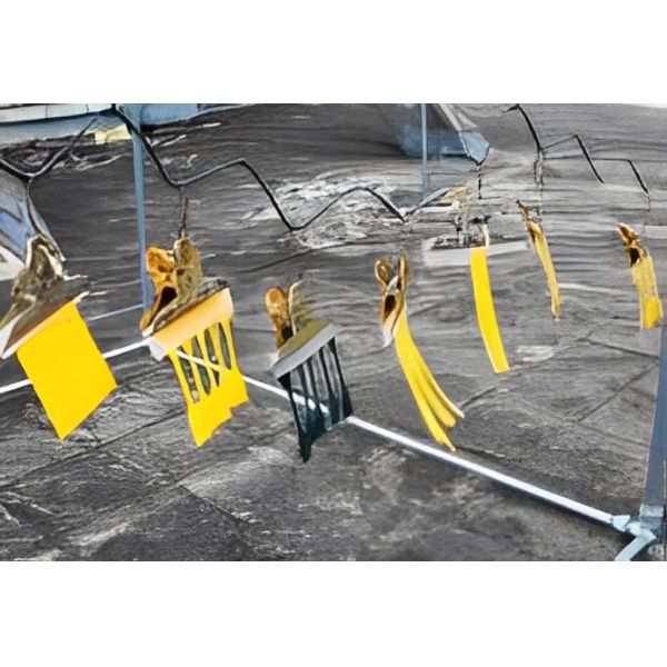 Three Phase CE Type 2 To Type 2 EV Charging Cable 11kw Electric Vehicle Charger 5M 16A EVSE EV Charging Cable