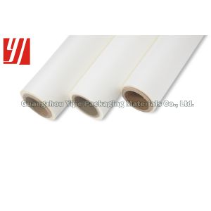 Transaprent Thermal Lamination 23 MIC Plain BOPP Film