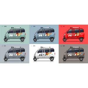 1000W Electric Passenger Tricycle Legal Electric Moped Mini Electric Tricycle