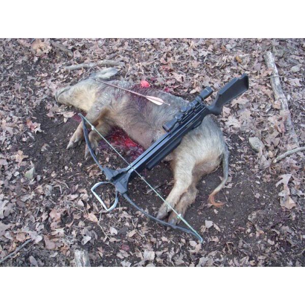 18/20/22" .001" Straightness Strong 3k CrossWoven Fiber Crossbow Bolts