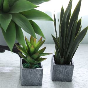Plastic Artificial Plants Succulents Wedding Indoor Decorative
