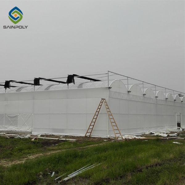Buy 0.12 Cover Medical Planting Agricultural Greenhouse at wholesale prices