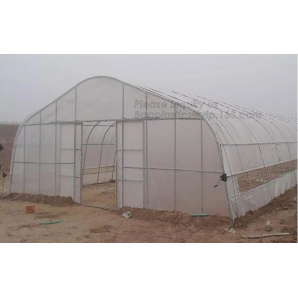 small garden green house,Multispan Tunnel Greenhouse for Tomato Agricultural Green houses,fabric steel wire agriculture