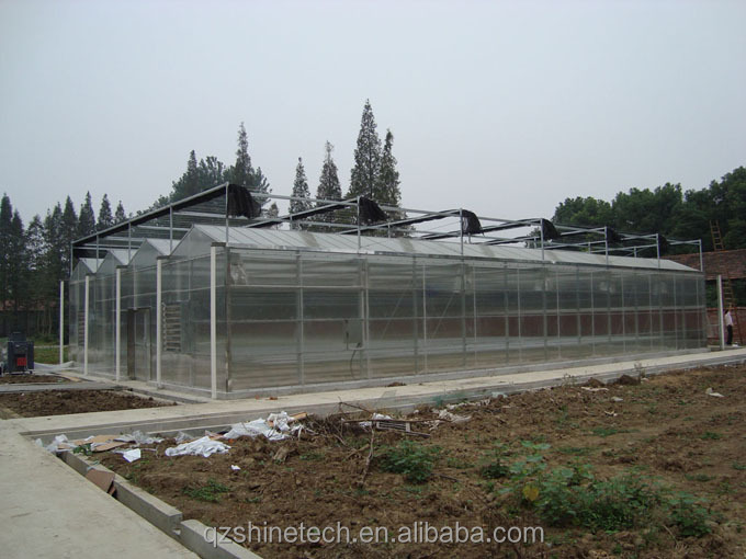 4m Bay Width Multi Span Greenhouse Agricultural Cover Material Super Strong Resistance