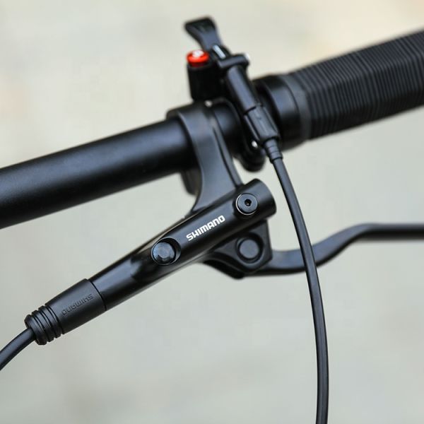 29 Inch MTB Carbon Fiber Mountain Bike For Adult Bicycles Durable Frame And SRAM Shifter