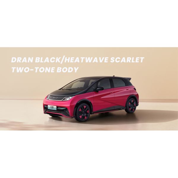 2022 BYD Dolphin EV Car Vehicles Zero Emission Vitality Edition