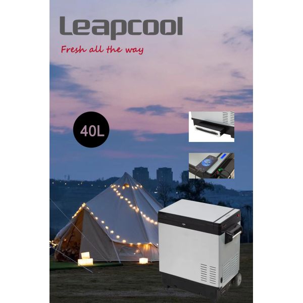 12v 24v Dual Temperature Control Portable 40L Compressor Refrigerator for Truck and Car