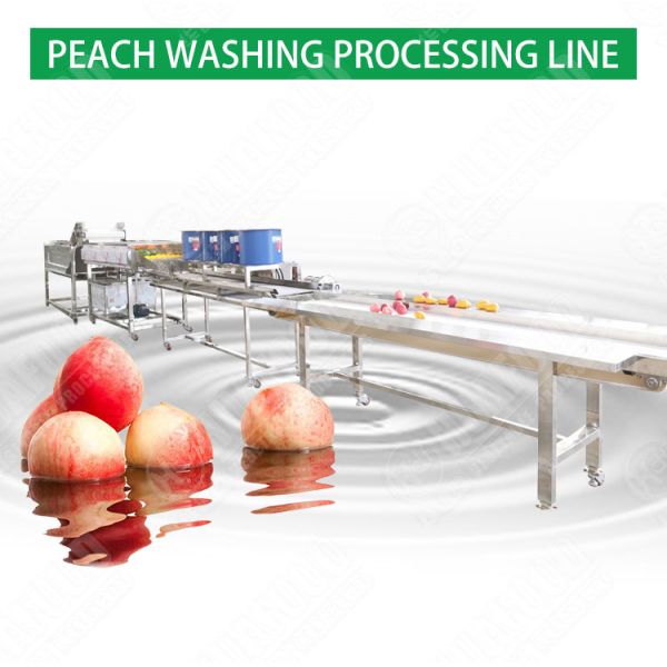 Hot selling Good Quality Factory Directly Drum Vegetable Washer by Huafood