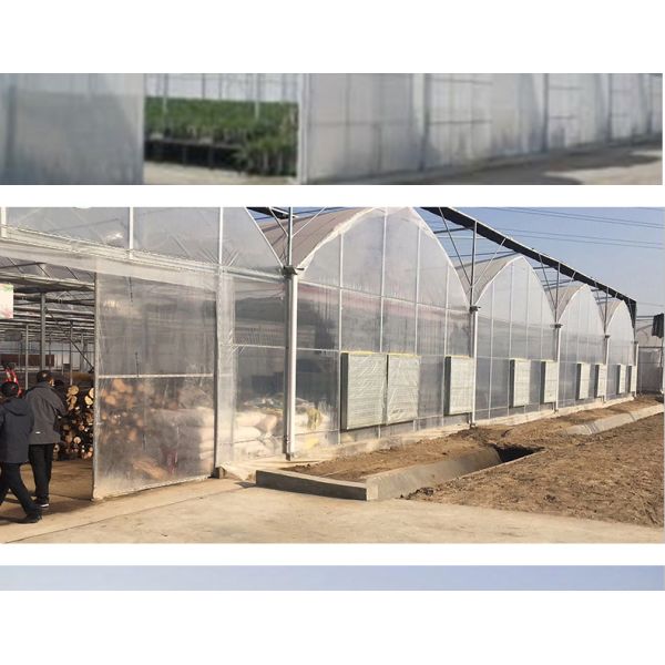 Double Layer Green House for Cultivating Vegetable Fruits and Flowers