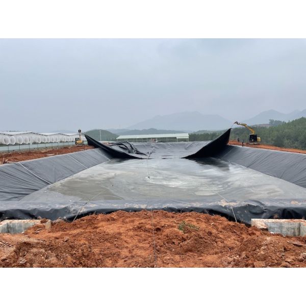 Plastic Black Pond Liner HDPE Geo Membrane For Water Reservoir Mining Landfill