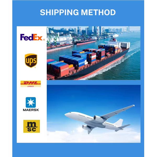 Yucera YRC-6X 5-Axis Dental Milling Machine with 10 Tool Magazines and One Year Warranty for 24/7 Support