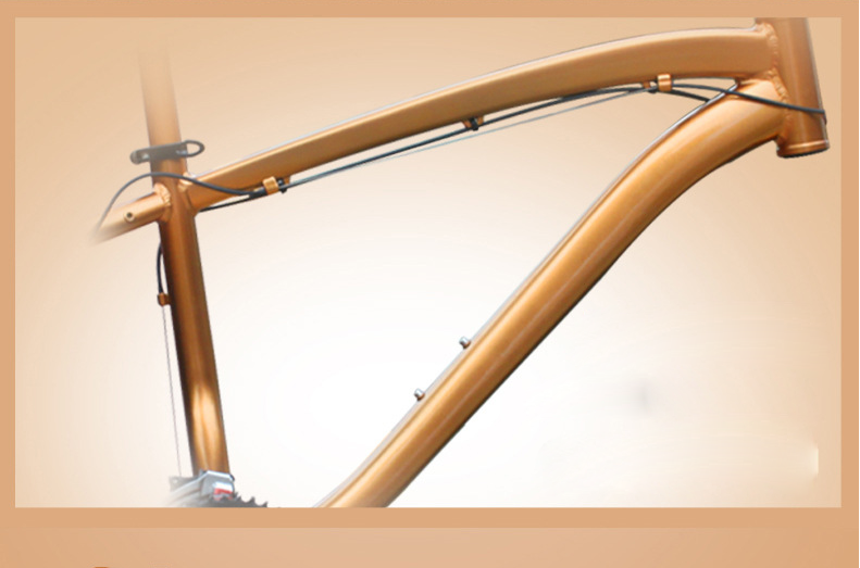 Private Label OEM 1000W 29 Inch Electric Mountain Bike