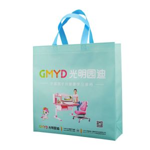 Quality Environmental Friendly Green Polypropylene Non Woven Bags Recyclable for sale