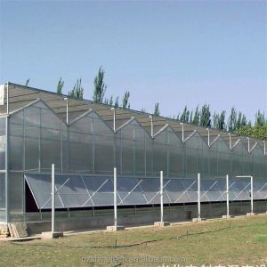 Vegetable Fruits And Flowers Multi Span Agricultural Greenhouse With Tempered