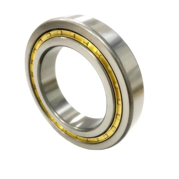 Cylindrical Roller Excavator Swing Bearing NUP305 NUP306 NUP307 NUP308 NUP309