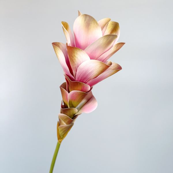 Simulated Flowers, Ginger Flowers, Lotus Flowers, 3D Printing, Texture Flowers, Home Decor, Model Room Decoration, Wedding Scenery Props, Bouquet