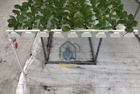 Indoor Vertical Farming NFT Hydroponic System PVC Tube Growing System
