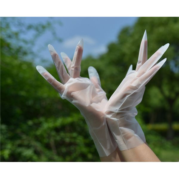 M Transparent Plastic Tpe Powder Free Disposable Gloves 100pcs