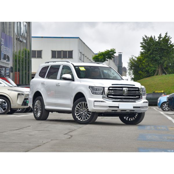 3.0T SUV Petrol Cars Sports Version Tank 500 2023 Built With 7 Seats White