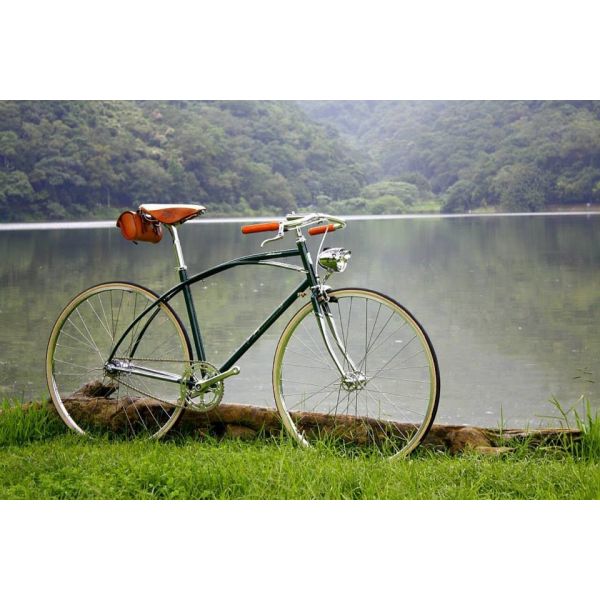 CE standard hi-ten steel 24/26 inch New York style city bike with Shimano 6/7 speed and Cowhide seat