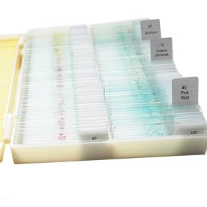 Quality School Teaching 100 Pieces Plastic Box OEM Botany Microscope Slides for sale