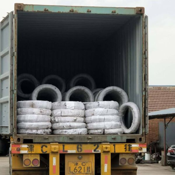 Carbon Spring Galvanized Metal Wire Rod 50mm Coated Rope ISO 9001