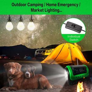 Quality SRE-0603 Solar Led Camping Emergency Light Usb Recharge Bulb Set for sale