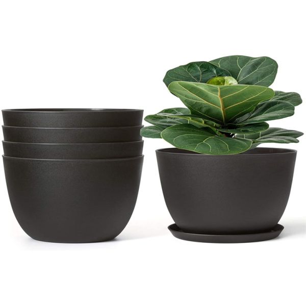 Small Drain Holes Horticultural Plant Pots Modern Bonsai Plastic Dumpy Plants