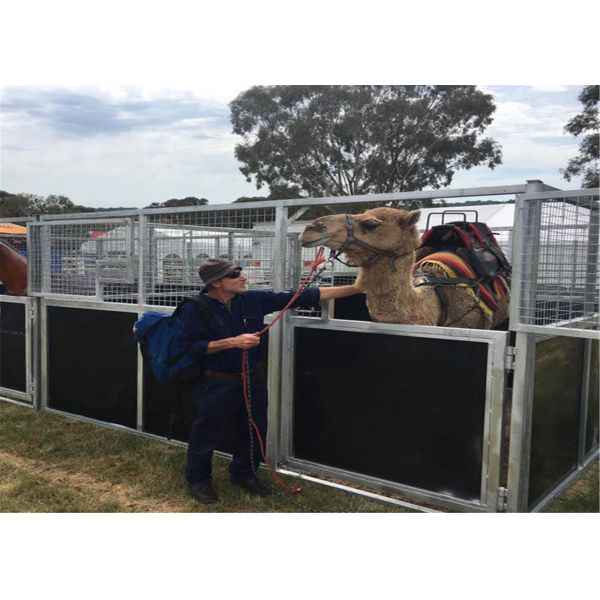 temporary horse stable with roofing 2200mm x 3600mm