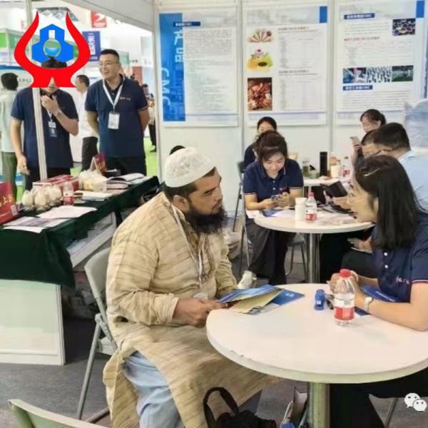 C4000R Industrial CMC Coating Stabilizers Na Carboxymethylcellulose