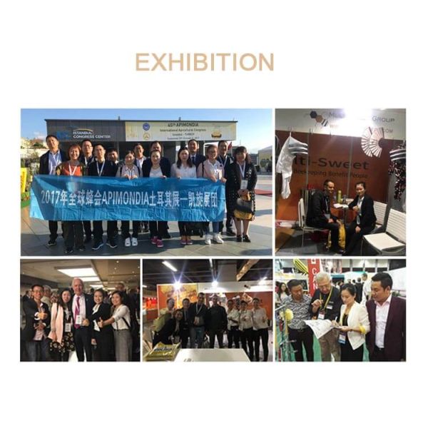 Brown 10mm Diameter Plastic Queen Bee Cell Cups