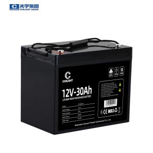 Quality Marine 12v 30Ah Lifepo4 Lithium Batteries 12v 24ah Rechargeable Battery for sale