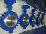 Carbon Steel Lug Type Eccentric Butterfly Valve Manual ANSI 300LB PN40