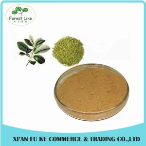 China Best Selling Natural Yerba Mate Extract 25 % Polyphenol,20 % Tannin Acid on sale