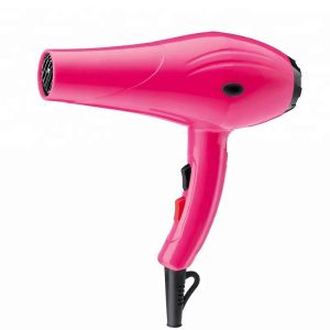 Multifunctional 1800W Professional Hair Dryer With Diffuser Ionic Conditioning