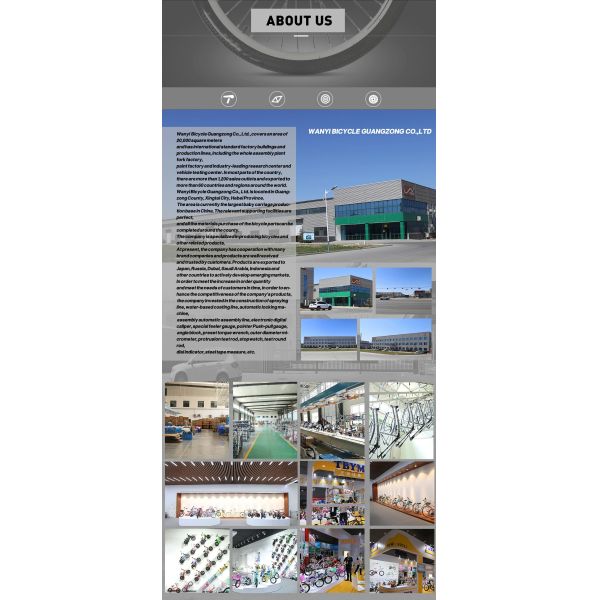 OEM High Carbon Steel 700C Road Bicycle 21 Speed Mountain Bike