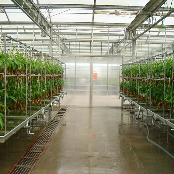 Advanced Glass Greenhouse For Optimal Light Transmission And Heat Preservation