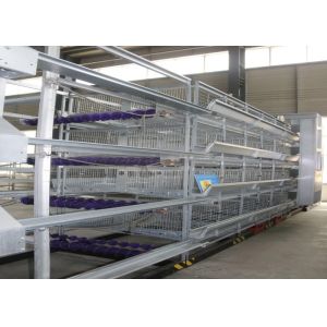 Quality Reliable Safety Cage Holding Poultry Chicken Breeding Cages Save Space for sale